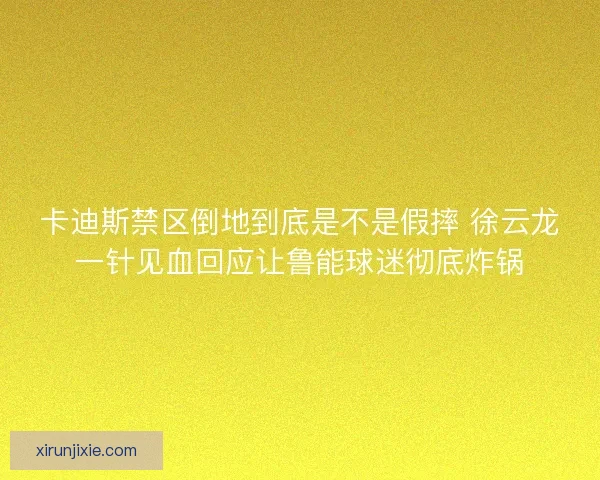 卡迪斯禁区倒地到底是不是假摔 徐云龙一针见血回应让鲁能球迷彻底炸锅