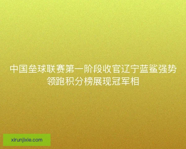 中国垒球联赛第一阶段收官辽宁蓝鲨强势领跑积分榜展现冠军相